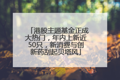港股主题基金正成大热门，年内上新近50只，新消费与创新药刮起贝塔风